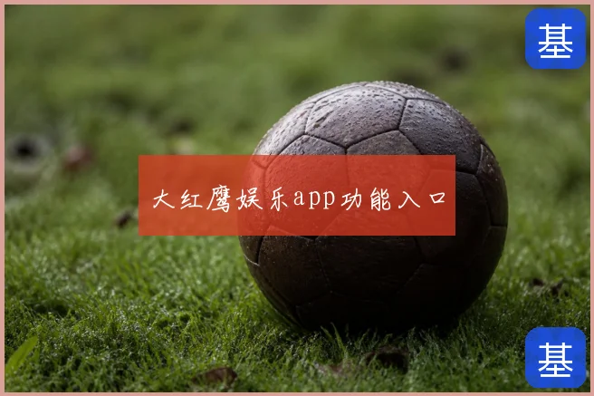 大红鹰娱乐app功能入口