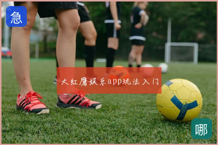 大红鹰娱乐app玩法入门