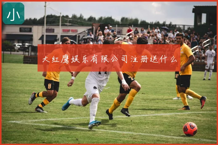 大红鹰娱乐有限公司注册送什么